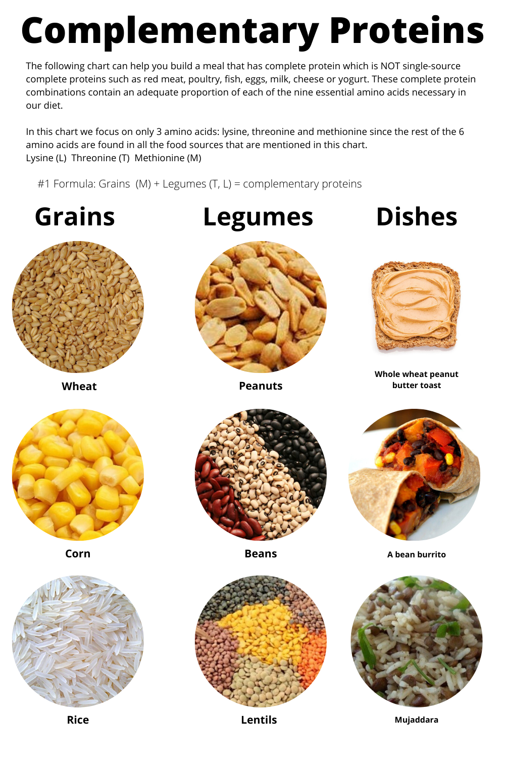 proteins in food list